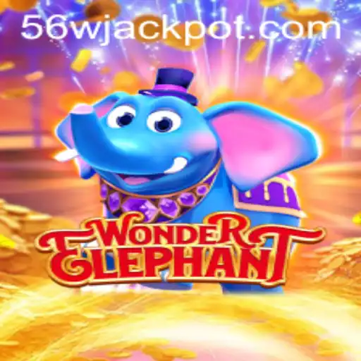 An In-Depth Look at WonderElephant and the Intriguing World of 56w